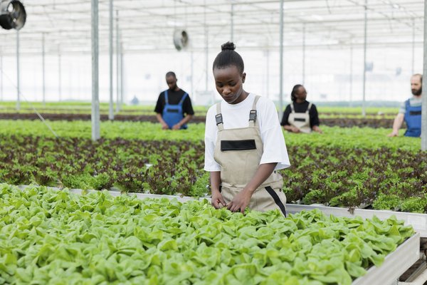 Quelle est la bonne méthode pour faire brûler de l'encens ?