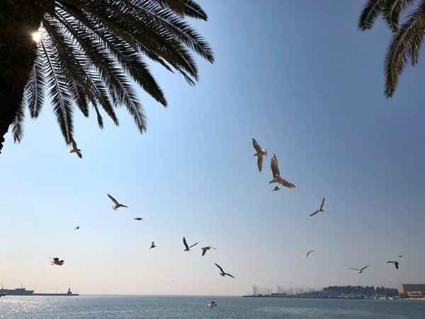 Quel impact les effaroucheurs ont sur l'environnement ?