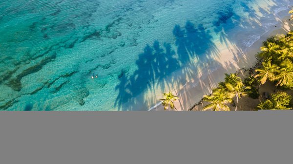 Les incontournables endroits à visiter en Martinique