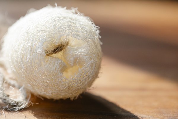 Puis-je refuser de fournir mon avis d'imposition à  ma banque ?